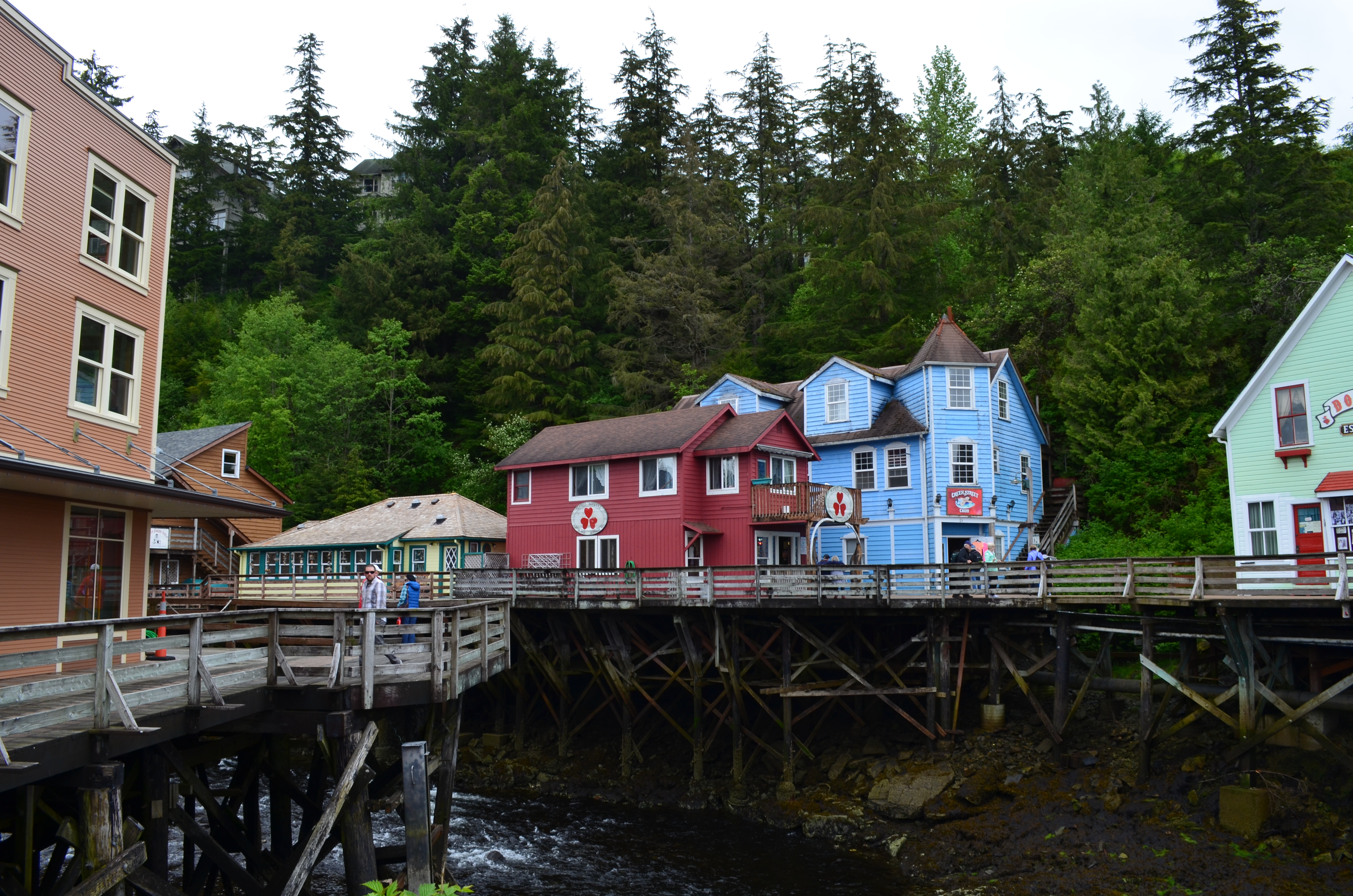 ./2017/08 - Alaska Cruise/11 - Ketchikan/DSC_0449.JPG